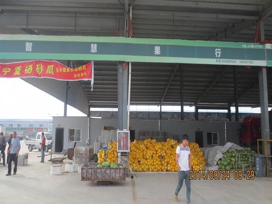 D區1棚1號-王心智