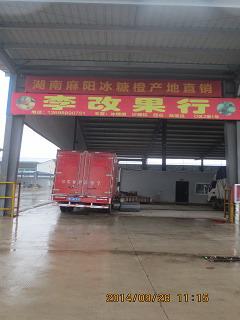 D區2棚1號-李愛卿